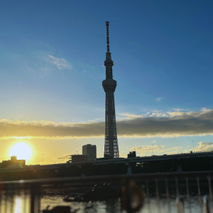 Skytree